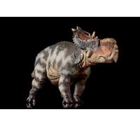 AMITD HLG Studio 1:35 Figurine Pachyrhinosaurus en PVC Modèle de dinosaure (bleu)