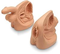 AMITD Kit d'entraînement de cathétérisation pour homme et femme - Modèle d'anatomie urinaire réaliste pour les pratiques médicales et infirmières
