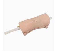 AMITD Knee Arthroscopy Training Model - Simulateur de joint de taille réelle pour l'éducation médicale et infirmière