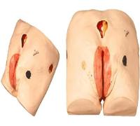 AMITD Manicelle de pression 4 étapes - 33 cm - Entraîneur infirmière senior pour l'éducation des soins infirmiers