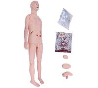 AMITD Manicine d'entraînement infirmière de taille de vie masculine : simulateur complet du corps pour l'éducation médicale