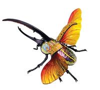 AMITD Modèle anatomique 4D Beetle, 33 pièces détachables, pour étude biologique et d'insectes