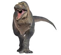 AMITD Modèles de dinosaures préhistoriques (51 Chuanzi The Tarbosaurus)