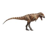 AMITD Modèles de dinosaures préhistoriques (71Tristan The Gorgosaurus)