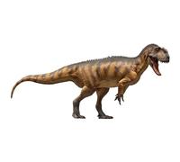AMITD Modèles de dinosaures préhistoriques (76 Dapeng The Yangchuanosaurus Magnus)