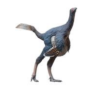 AMITD Modèles de dinosaures préhistoriques : 93 Junlang The Caudipteryx