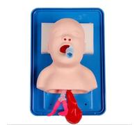 AMITD Nouveau-né Intubation Trachéal Intubation Modèle d'entraînement pour nouveau-né, simulateur oral et nasal avec tube endotrachéal