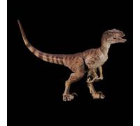 AMITD Raptor 2.5 Dinosaur Model (Shadow Blade)