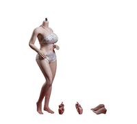 AMITD TBLeague PLLB2020-S38A 1/6 Scale Phicen Body sans couture pour figurine d'action Pale sans tête sculptée de 30,5 cm