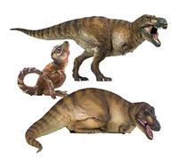 AMITD The Tyrannosaurus rex Family