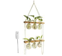 AMIUHOUN Station de propagation avec terrarium, support en bois et cordon rétro à suspendre au mur pour plantes hydroponiques