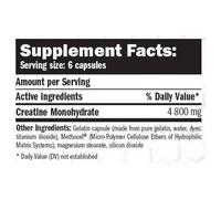 Amix Capsules De Créatine Monohydrate 220 Unités