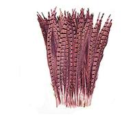 Amizob Lot de 15 Naturel teints Queue de faisan plumes 12-35,6 cm plumes de Craft Décoration rose