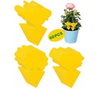 Amlif Pièges Anti Moucherons Interieur, Attrape Moucheron Plantes - 60 Pcs