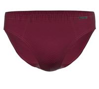 Ammann Cotton & More Lot de 7 mini slips, bordeaux, XXL