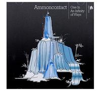 One In An Infinity Of Ways