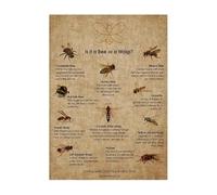AmNooL Bee Knowledge poster est une abeille ou une guêpe Poster Art mural Vintage peinture sur toile dessin d'abeille décoration murale sans cadre-30x40cm