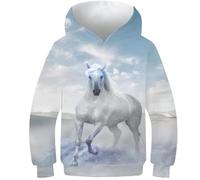 AMNOOL Sweat-Shirt à Capuche à Manches Longues pour Enfants Pull Cheval Bleu désert 3D Printemps-Automne vêtements pour garçons et Filles de 10 à 12 Ans