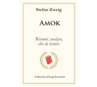 Amok: Résumé, analyse, clés de lecture