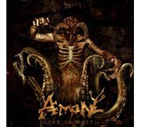 Amon - Liar in Wait