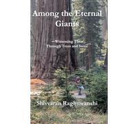 Among the Eternal Giants: Witnessing Time Through Trees and Stone