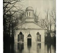 Among the Ghosts by Lucero [VINYL] NEUF