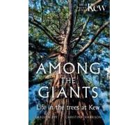Among The Giants