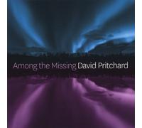 David Pritchard - Among The Missing