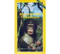 Among The Wild Chimpanzees [VHS] [Import anglais]
