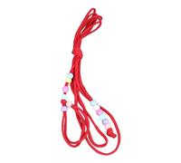 AMONIDA Corde de Traction Lézard, Laisse Réglable et Durable pour Reptiles et Petits Animaux D'extérieur en Nylon 1 unité (Rouge)