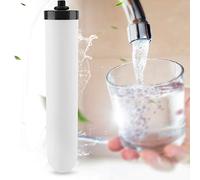 AMONIDA Élément Filtrant à Eau en Céramique, Système de Filtration D'eau Très Efficace pour Filtres à gravité, 9.8 Pouces de Long, 1 unité