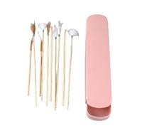 AMONIDA Ensemble de Massage des Oreilles pour le Nettoyage du Cérumen, Outils en Acier Inoxydable et Plumes de qualité Supérieure pour un Usage Domestique ou en Salon, 10 Pièces, Boîte de Rangement