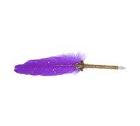 AMONIDA Ensemble de Stylos à Plume élégants au Design Rétro, Stylos à Plumes D'écriture Lissants pour les Amateurs de Calligraphie, Coffret Cadeau 1 X Stylo Plume (PURPLE)