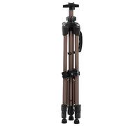 AMONIDA Support de Chevalet de Trépied en Métal Pliant en Alliage D'aluminium pour Peindre Léger et Stable pour les Artistes Plastique + Alliage D'aluminium, Champagne, 30,3", 14,6", 15,4"