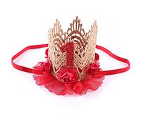 Amorar Bébé Enfant en Bas Âge 1 Année d'anniversaire Couronne Bandeau en Dentelle Fleur Couronne Tiara Bandeau Chapeaux Chapeau Princesse Cheveux Anniversaire Chapeau De Fête Accessoires Photo