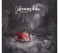 Amorphis – Silent Waters – Vinyle 12" Édition limitée (Blanc/Gris)