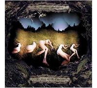 Amorphous Androgynous - Isness & the Otherness