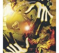 Amorphous Androgynus the - The World Is Full of Plankton (10") (Rsd 21)