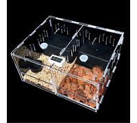 AMORPO Terrarium Acrylique, Cage Araignée Sauteuse, 2/4 Grilles Reptile Cage Enceinte Boîte pour Insectes Araignées Grillons Gecko Scorpion Sling Mante Grenouille Isopodes Escargots(Size:2 Grids)