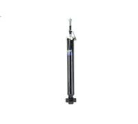 Amortisseu MONROE G1095 pour TOYOTA AURIS (_E15_) 2 2006-2012