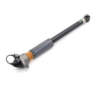 Amortisseur ARNOTT EUROPE MR-5743 pour AUDI A3 (8V1, 8VK) 2 2012-2017