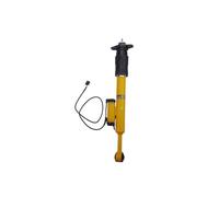 Amortisseur arrière gauche avec système électrique 5181545AH Compatible With Chrysler 300 C SRT 2012-