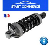 Amortisseur Arrière Gauche Pour Audi R8 2007-2015 OE: 420512019AM