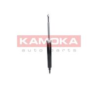 Amortisseur Arrière Pour BMW 1 3