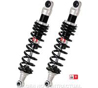 Amortisseur arrière stéréo de la série E302 adaptable sur Honda GL 1200 DX (84-88) RE302-355T-02-88