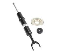 Amortisseur BILSTEIN - B4 OE Replacement BILSTEIN 19-119939