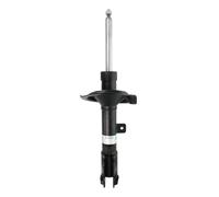 Amortisseur BILSTEIN - B4 Gas BILSTEIN 22-243133 gauche
