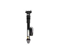 Amortisseur Essieu arrière Fourche en bas 24-144919 BILSTEIN pour MERCEDES-BENZ
