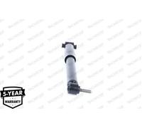 Amortisseur MONROE 376257SP