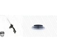 Amortisseur + Boulon de poulie MONROE pour KIA CARENS II, CARENS